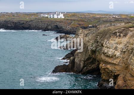 Zerklüftete Küste in der Nähe von Rhoscolyn auf der Insel Anglesey, Nordwales. Stockfoto