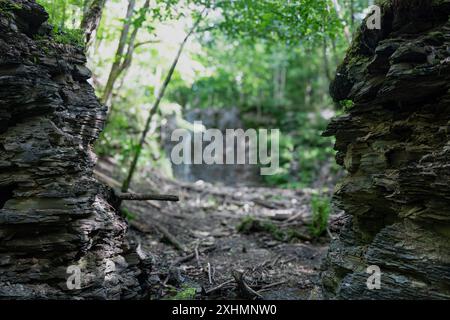 Verstecktes Tal in einem Wald mit einem Wasserfall in der Ferne. Stockfoto