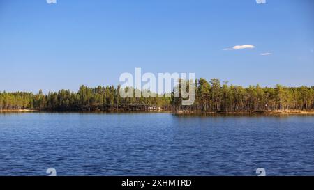 Ruhiger Waldsee unter klarem blauem Himmel in ruhiger Wildnislandschaft in Nordschweden. Stockfoto