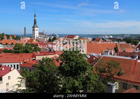 Blick von einem Aussichtspunkt im Zentrum von Tallinn in Richtung des alten mittelalterlichen Teils der Stadt, voller alter historischer Gebäude, Estland Stockfoto
