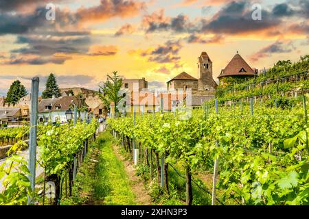 Dürnstein, Österreich, Wachau Stockfoto