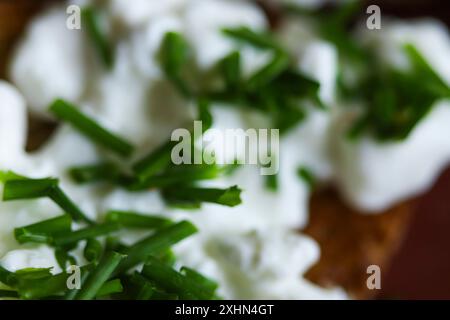 Nahaufnahme von frisch geschnittenem Schnittlauch auf Frischkäse mit geröstetem Brot und Tomaten. Gesunde Bio-Mahlzeit. Stockfoto