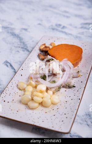 Ceviche ein typisches Gericht der peruanischen Gastronomie, serviert auf einem marmorierten Hintergrund mit hellen Farben. Stockfoto