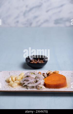 Traditionelles peruanisches Ceviche auf hellblauem Hintergrund. Stockfoto
