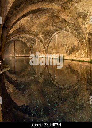 Siena, Italien - 01. Juni 2024: Fontebranda öffentlicher Brunnen. Stockfoto