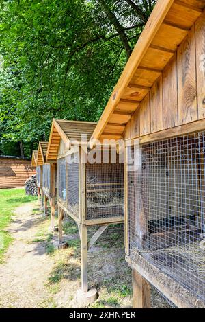 Ein gemütliches Holzhaus für Kaninchen, umgeben von einem Netz, befindet sich inmitten eines dichten Waldes, gefüllt mit Frische und Stille, einladend zum Nachdenken und r Stockfoto