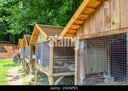 Ein gemütliches Holzhaus für Kaninchen, umgeben von einem Netz, befindet sich inmitten eines dichten Waldes, gefüllt mit Frische und Stille, einladend zum Nachdenken und r Stockfoto