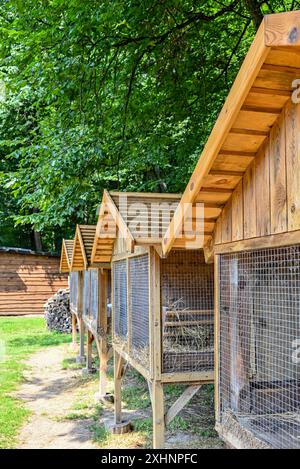 Ein gemütliches Holzhaus für Kaninchen in einem schattigen Wald, umgeben von dichtem Grün und Sonnenlicht, schafft eine friedliche Atmosphäre einer ländlichen Idylle. Stockfoto