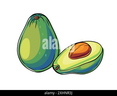 Set von Hand gezeichneter frischer grüner Avocado mit Samen. Ganze und halbe tropische Früchte im Doodle-Stil. Vektorillustration isoliert auf weißem Hintergrund. Stock Vektor