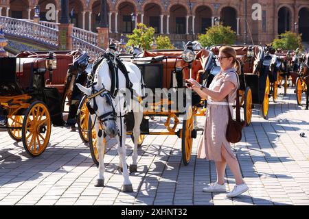 Pferd, Plaza de Espana, Sevilla, Plaza Espana, Sevilla, spanische Schönheit, Kutsche, Feria de Abril, Messe Abril, Andalusien, Spanien, Beauty, Stockfoto