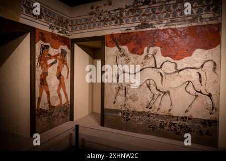 Akrotiri Antelopes Fresko und Akrotiri Boxer Fresco, minoisches Gemälde aus der Bronzezeit, 1700 v. Chr., Archäologisches Nationalmuseum, Athen, Griechenland Stockfoto