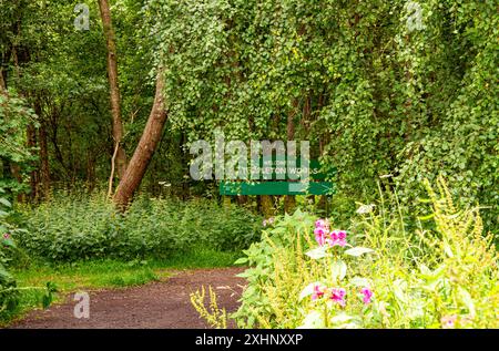 Dundee Templeton Woods in Schottland bietet gewundene Naturpfade durch üppiges Gelände, lebhaftes Grün und eine herrliche Landschaft im Sommer Stockfoto