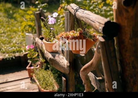 Alte Töpfe mit Blumen im Dorf Stockfoto
