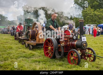Storrington / Großbritannien - 13. Juli 2024: Dampfbegeisterte fahren auf der Sussex Steam Fair, Parham, Storrington, Großbritannien, ihre maßstabsgetreuen Dampftriebwerke. Stockfoto
