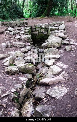 Michael Bunel / Le Pictorium - der Barenton-Brunnen - 13/07/2024 - Frankreich / Bretagne - der Barenton-Brunnen ist sowohl eine legendäre Stätte im Wald von Broceliande (nach den Texten des Artus-Zyklus) als auch eine Stätte in der Zentralbretagne, im Wald von Paimpont. Es ist zu einer der berühmtesten Sehenswürdigkeiten der Bretagne geworden, die mit der Arthurischen Legende in Verbindung stehen. Die Legende besagt, dass, wenn Wasser auf die Treppe des Brunnens gegossen wird, Blitze und Stürme sofort ausgelöst werden. Eine andere Legende besagt, dass Le Village de Folle Pensee seinen Namen von der Heilkraft des Brunnens erhält, die den Verrückten heilen kann Stockfoto