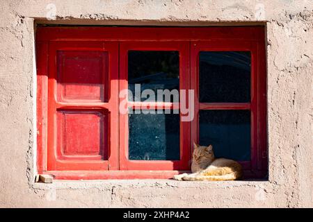 Eine Katze schläft an einem Fenster in einem roten Rahmen eines alten Hauses. Stockfoto