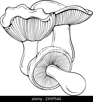 Komposition mit Russula Pilze Line Art Stock Vektor