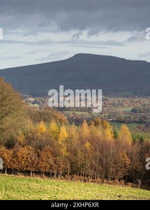 Mortimer Forest bei Ludlow, der in Shropshire nahe der Grenze zu Herefordshire liegt, England, Großbritannien Stockfoto