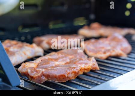 Ein Grill mit Fleisch drauf. Das Fleisch ist braun und hat viel Würze Stockfoto
