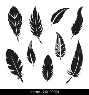 Mit den Symbolen „Federn“ werden verschiedene Typen auf weißem Hintergrund festgelegt Stock Vektor