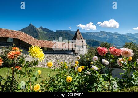 Ein wunderschöner Garten mit einem großen Gebäude im Hintergrund. Die Blumen blühen in voller Blüte und der Himmel ist klar Stockfoto