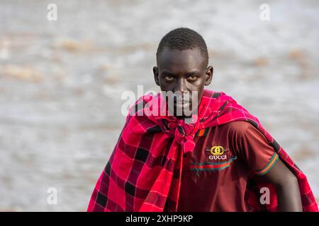 Kenia, Masai Mara National Reserve, Nationalpark, Masai Herdkeeper von Masai Kühen im Masai Mara National Reserve Stockfoto