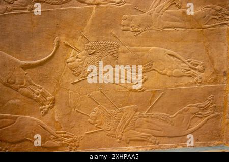 Löwenjagd von Ashurbanipal. British Museum, London, England. Stockfoto