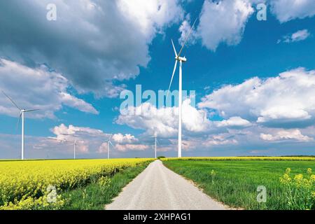 Frankreich, Moselle, Malaucourt sur Seille, Windpark, Rapsfelder Stockfoto