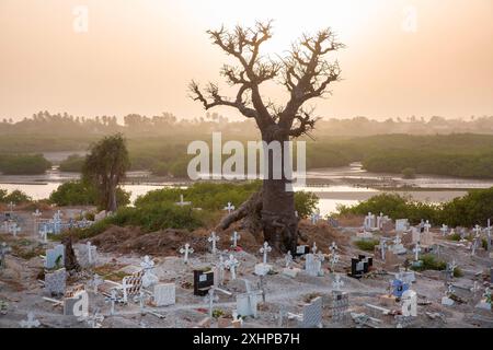 Senegal, Saloum Delta, das von der UNESCO zum Weltkulturerbe erklärt wurde, Fadiouth oder Muschelinsel, Baobab-Baum, der in der Mitte des einzigen Friedhofs der Welt gepflanzt wurde Stockfoto