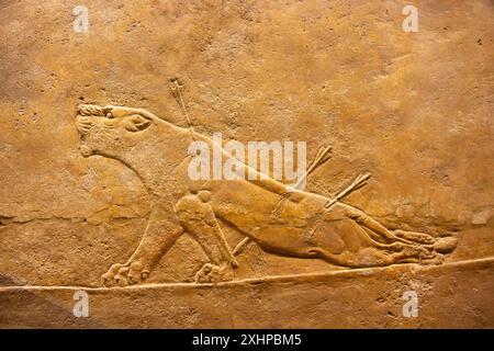 Sterbende Löwin. Löwenjagd von Ashurbanipal. British Museum, London, England. Stockfoto