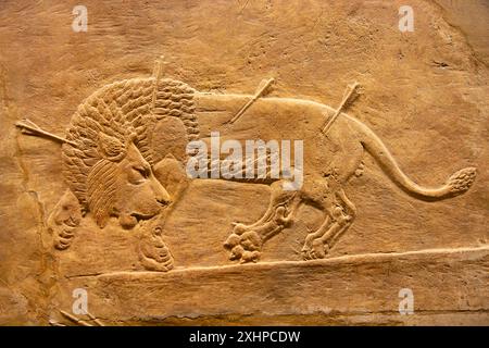 Löwenjagd von Ashurbanipal. British Museum, London, England. Stockfoto