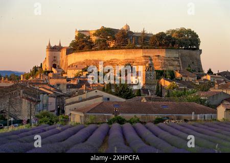 Frankreich, Drome, Grignan, beschriftet mit Les Plus Beaux Villages de France (die schönsten Dörfer Frankreichs), Lavendelfeld vor dem Dorf wit Stockfoto