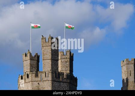 Zwei walisische Flaggen fliegen über Caernarfon Castle in Nordwales Stockfoto