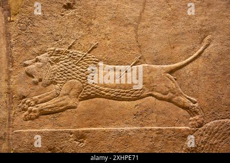 Löwenjagd von Ashurbanipal. British Museum, London, England. Stockfoto