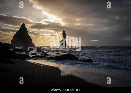 Island, Sudurland, Vik, schwarzer Sandstrand von Reynisfjara, Nadeln und Basaltfelsen aus dem Wasser von Reynisdrangar, Standort Numerou Stockfoto