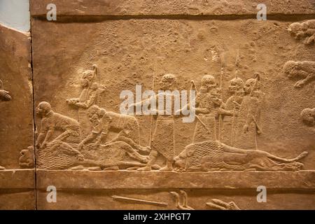 Löwenjagd von Ashurbanipal. British Museum, London, England. Stockfoto