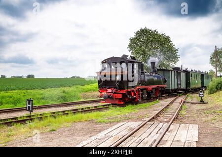 Schmalspurbahn, Prignitz, Brandenburg, Deutschland Stockfoto