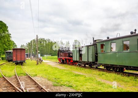 Schmalspurbahn, Prignitz, Brandenburg, Deutschland Stockfoto