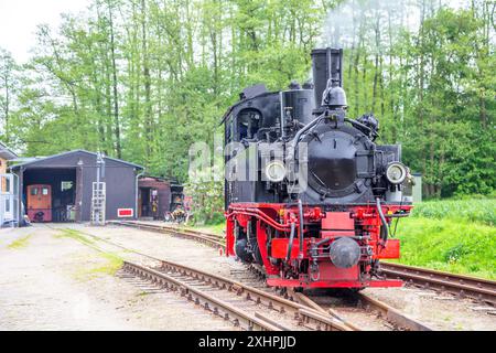 Schmalspurbahn, Prignitz, Brandenburg, Deutschland Stockfoto