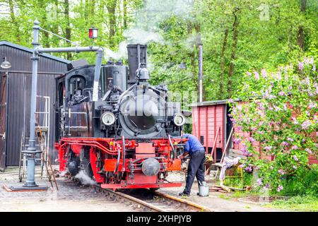 Schmalspurbahn, Prignitz, Brandenburg, Deutschland Stockfoto