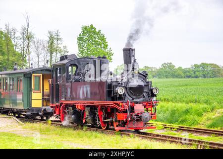 Schmalspurbahn, Prignitz, Brandenburg, Deutschland Stockfoto