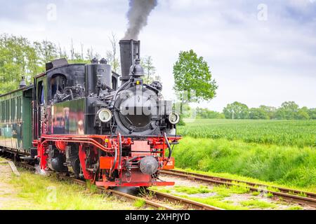 Schmalspurbahn, Prignitz, Brandenburg, Deutschland Stockfoto