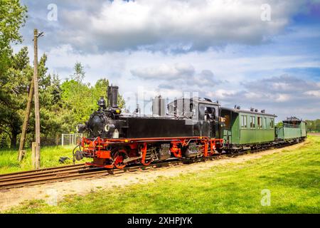 Schmalspurbahn, Prignitz, Brandenburg, Deutschland Stockfoto