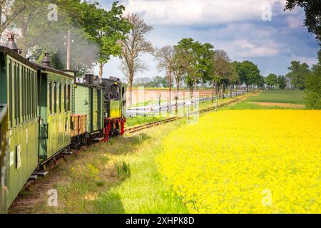 Schmalspurbahn, Prignitz, Brandenburg, Deutschland Stockfoto