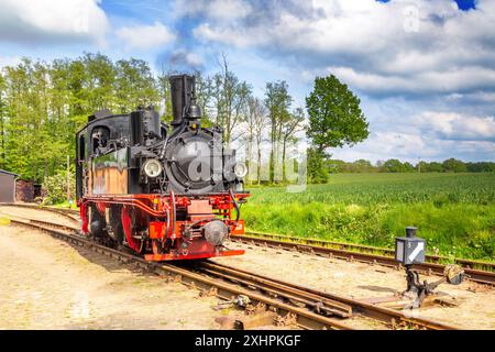 Schmalspurbahn, Prignitz, Brandenburg, Deutschland Stockfoto