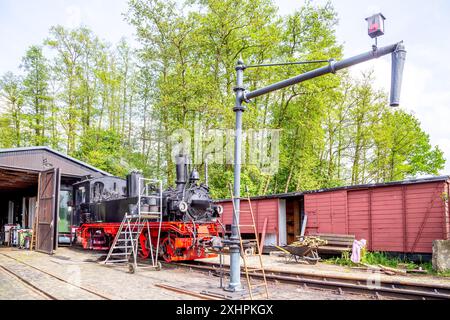 Schmalspurbahn, Prignitz, Brandenburg, Deutschland Stockfoto