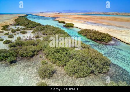 Ägypten, Sinaï, Sharm-el-Sheikh, Ras Mohammed Nationalpark, der chanel der Mangroven (Luftaufnahme) Stockfoto