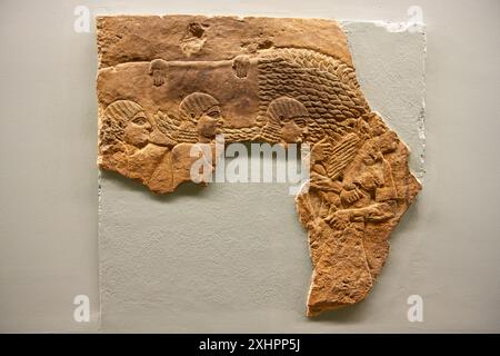 Tote Löwen werden weggetragen. Löwenjagd von Ashurbanipal. British Museum, London, England. Stockfoto