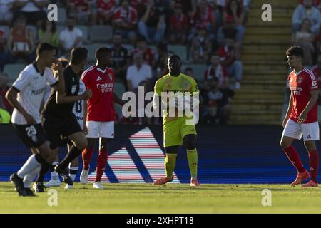 Águeda, 12/2024: Benfica trifft auf Farense im Estádio Municipal de Águeda in einem Freundschaftsspiel. Samuel (Pedro Correia/Global Imagens) Credit: Atlantico Press/Alamy Live News Stockfoto