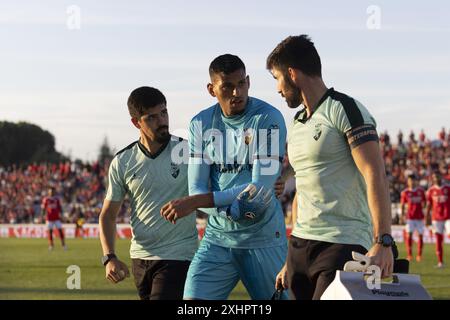 Águeda, 12/2024: Benfica trifft auf Farense im Estádio Municipal de Águeda in einem Freundschaftsspiel. Kaique (Pedro Correia/Global Imagens) Credit: Atlantico Press/Alamy Live News Stockfoto